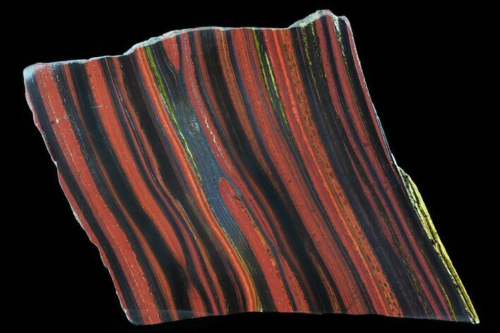 Polished Tiger Iron Stromatolite - ( Billion Years) #72910